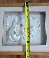 Framed Real Nautilus Shell Cut Wall Art Coastal Beach Decor 13×15 Shadow Box