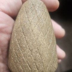 Neolithic Stone Mace-Head, Bannerstone, Scepter Head