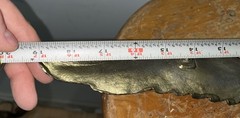 Vintage 19 Inch Cast Aluminum Eagle – Very Good Condition, Brass Color