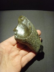 Lower Paleolithic – Fine Acheulean oblique ‘handled’ scraper. c.450,000 BP.