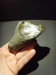 Lower Paleolithic – Fine Acheulean oblique ‘handled’ scraper. c.450,000 BP.
