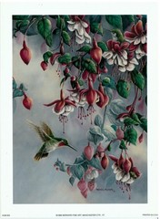 (5.5 x 7.5) Art Print HUM003 Unknown