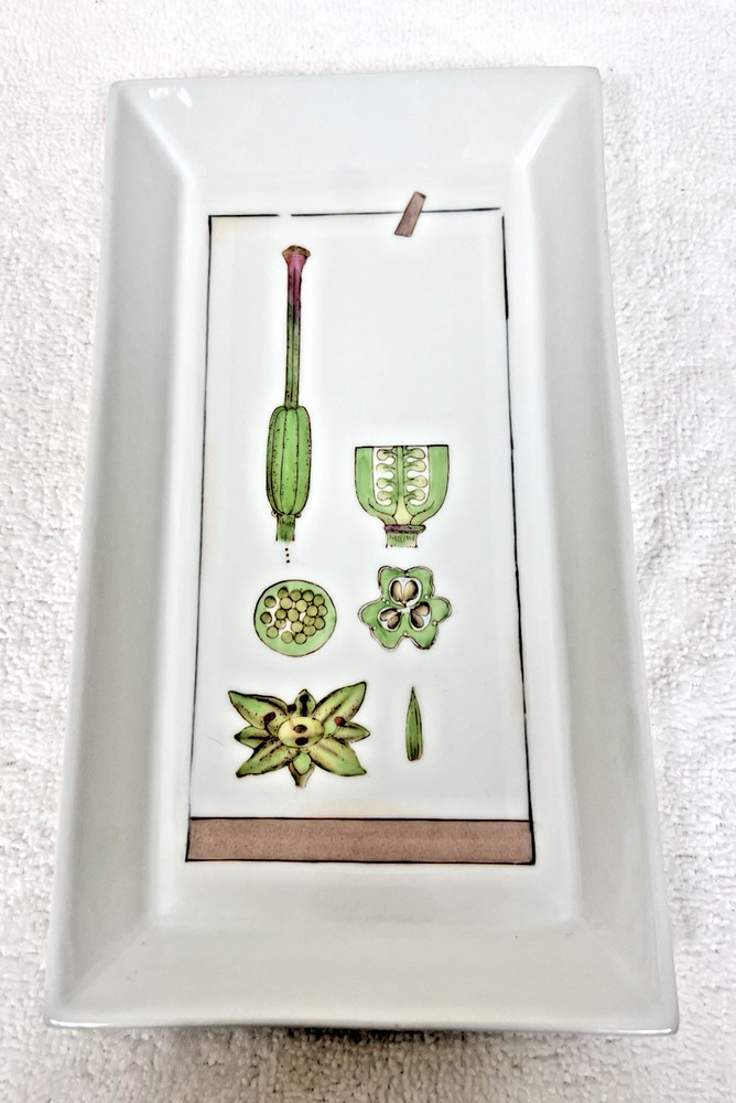 Fabienne Jouvin Paris Porcelain Tray Botanical 9 3/4″ x 5.5″ Signed