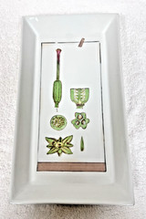 Fabienne Jouvin Paris Porcelain Tray Botanical 9 3/4″ x 5.5″ Signed