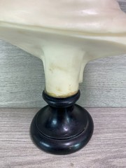 WILLIAM SHAKESPEARE – PARIAN BUST PLAYWRIGHT – BARD OF AVON wood stand
