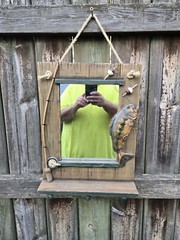 Largemouth Bass Fishing Wall Theme Mirror Cabin Cottage Lake House