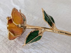Steven Singer Orange Rose Preserved & Dipped in 24kt Gold ~ Sparkle Collection