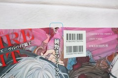 Vampire Knight HiMatsuri Artbook Illustrations, Light wear, Collectible