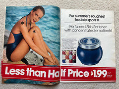 Vintage AVON 1981 SALES CATALOG BROCHURE (Campaign 16) ~ Large Format/ No Label