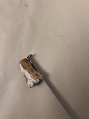 VTG Small Unbranded Used Figurine White/brown lying down dog
