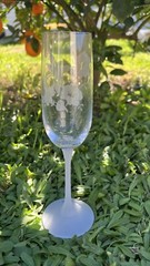 Vintage Avon Lead Crystal Hummingbird Champagne Flutes Frosted Set of 2 New NOS