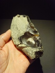 Lower Paleolithic – Superb Acheulean lateral scraper. c.450,000 BP.