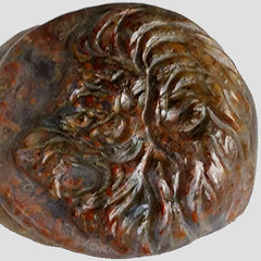 300 BC Authentic Ancient Roman hololith Ring Engraved Gemstone Lion MUSEUM GRADE