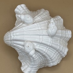 ￼Vintage 1980’s Fitz and Floyd Footed Seashell Dish, “Coquille” H-5” W-8” D-7”