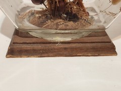 1977 Hand-Crafted Terrarium Dried Flowers Display Mixed Media