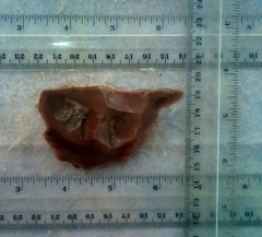 Lower Paleothic. Homo erectus.” Acheulian” 1.7MYA. The Eshelo-Yabrudic culture