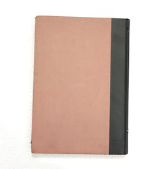 Modern Prints & Drawings: A Guide to a Better Understanding of Modern Draughtsma
