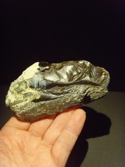 Lower Paleolithic – Superb Acheulean side scraper. c.450,000 BP.