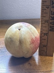 VINTAGE ALABASTER STONE FRUIT PEACH Nice Colors Veins Heavy Early