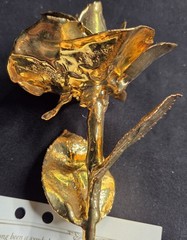 VTG 24K Gold Dipped “Real American Rose” 11.5”Keepsake With Tag