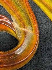 Vintage Orange Lucite Seahorse Pair 60s 70s Retro MCM Wall Decor Seahorses