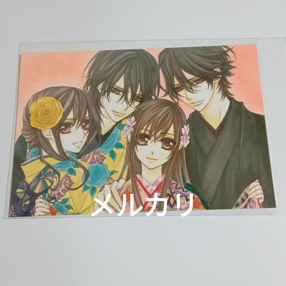 Vampire Knight LAL2009 AppendiCalendar Cuut Post Magazine Insert Waterproof Pack