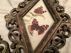Pair Of Vintage Burwwod Or Homco Butterfly Wall Plaques 1970/1980