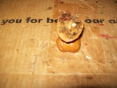 Vintage Unbranded Mouse In A Walnut Shell Decoration 1-3/4″ Tall