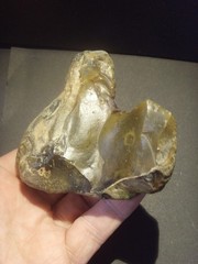 Lower Paleolithic – Large Acheulean notched tool. c.450,000 BP.