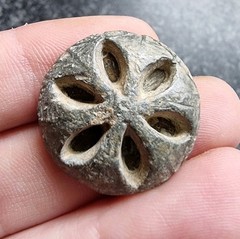Medieval Lead Button Metal Detecting Find Antique 25mm 16.05g