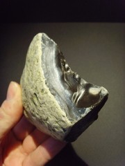 Lower Paleolithic – Fine Acheulean ‘hooked’ scraper. c.450,000 BP.