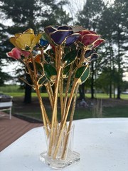 gold dipped rose steven singer