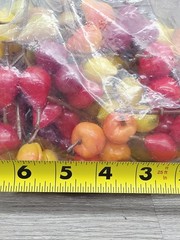 Vintage LeeWards Medium Sized Lacquered 48 Stems 144 Fruits Pear Apple Lemon Lim