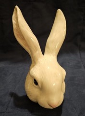 Fitz & Floyd Fauna and Flora 2003 Teapot Rabbit Tea Bunny Spring RARE