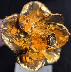 VTG 24K Gold Dipped “Real American Rose” 11.5”Keepsake With Tag