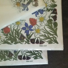 Rare Swiss WIDA Paper Vintage Serviettes & Swiss Placemats 25 Floral 2 Packs