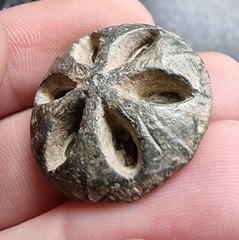 Medieval Lead Button Metal Detecting Find Antique 25mm 16.05g