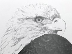 Jeff Gogue Signed Eagle Lithograph Print Rare Hand Numbered Art Isaiah 40:31