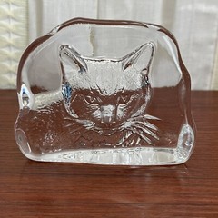 Vintage Reverse Carved Art Glass Cat Home Decor Heavy Glass Piece Clear Glass