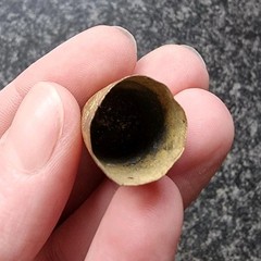 Georgian Thimble 18th Century Brass 21x16mm Antique Metal Detecting Find