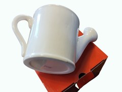 Avon 2007 Ceramic Floral Watering Can With Ladybug Design