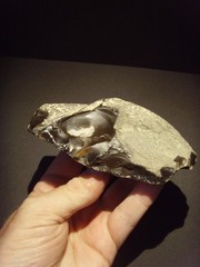 Lower Paleolithic – Superb Acheulean lateral scraper. c.450,000 BP.