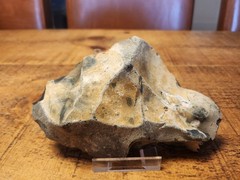 “Rare” Giant lower Paleolithic flake Happisbugh