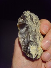 Lower Paleolithic – Fine Acheulean ovate scraper. c.450,000 BP.
