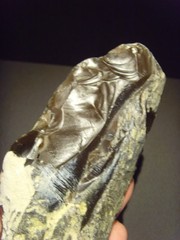 Lower Paleolithic – Superb Acheulean side scraper. c.450,000 BP.