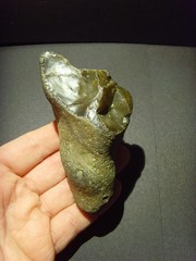 Lower Paleolithic – Fine Acheulean oblique ‘handled’ scraper. c.450,000 BP.