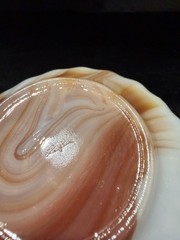 4-AKRO AGATE SLAG GLASS CLAM SHELL TRINKET DISHES IN FOUR DIFFERENT COLORS
