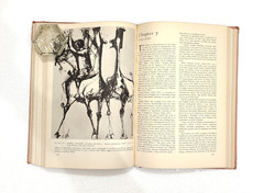 Modern Prints & Drawings: A Guide to a Better Understanding of Modern Draughtsma