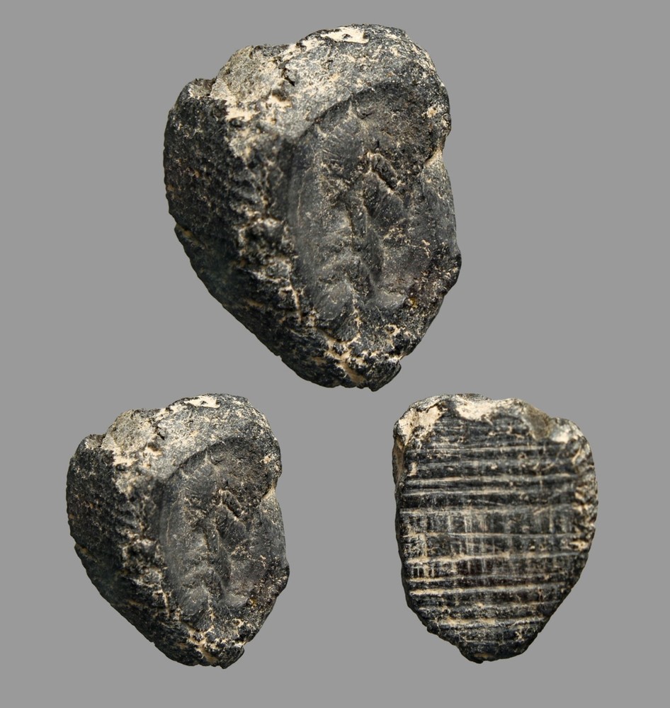 Seleucid / Hellenistic Lead (PB) Seal (Circa 312–64 BC) 14mm Authentic Artifact