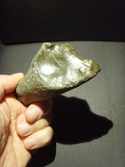 Lower Paleolithic – Fine Acheulean oblique ‘handled’ scraper. c.450,000 BP.